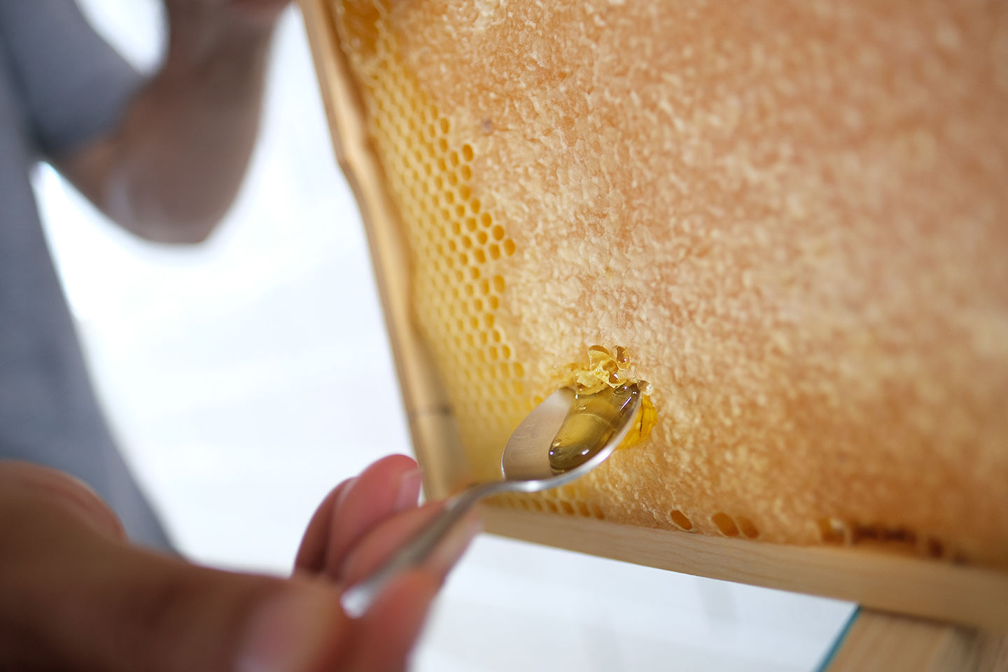 Guam’s sweetest secret: locally grown Hafa Adai Honey